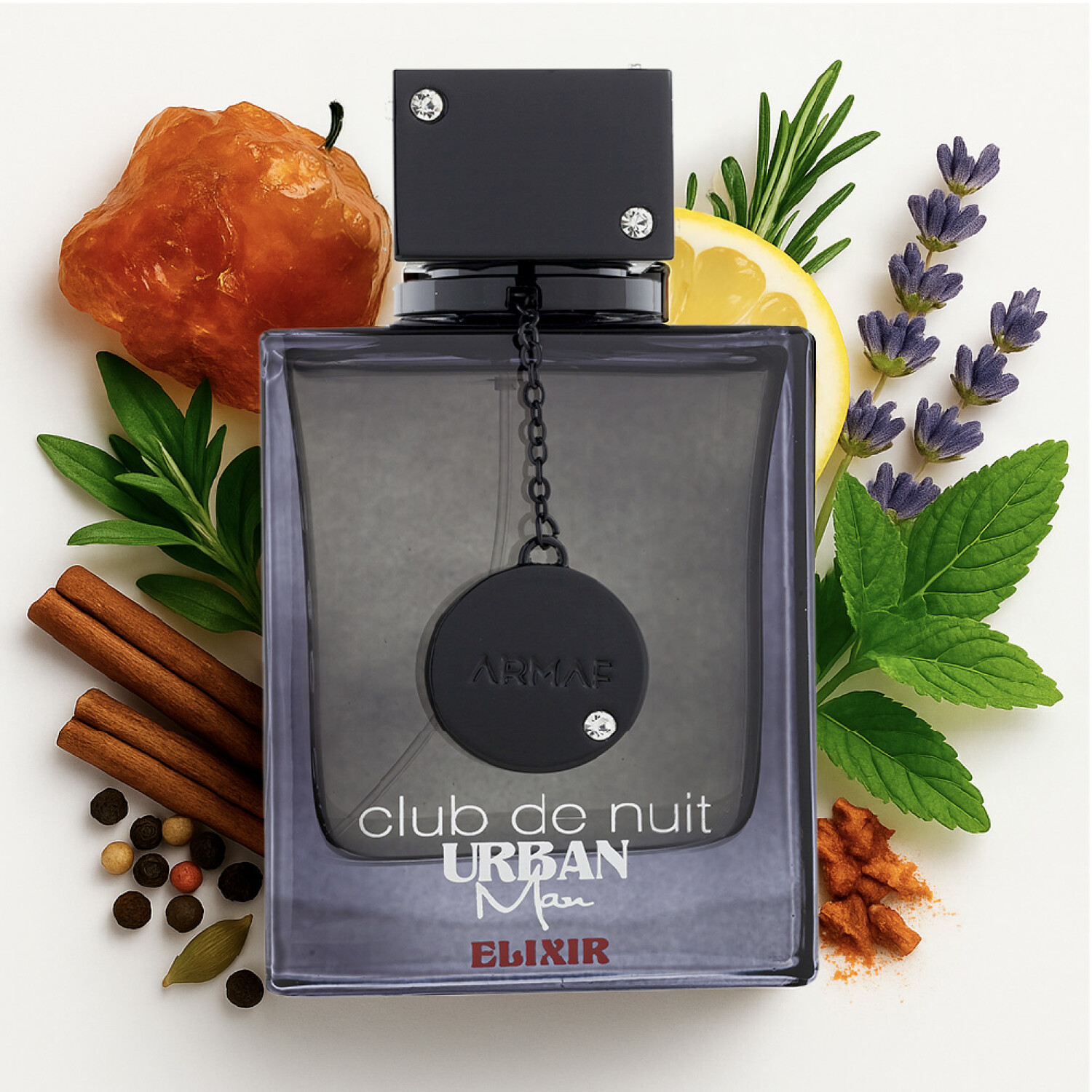 Club de Nuit Urban Elixir